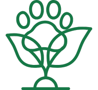 Plants/Pets